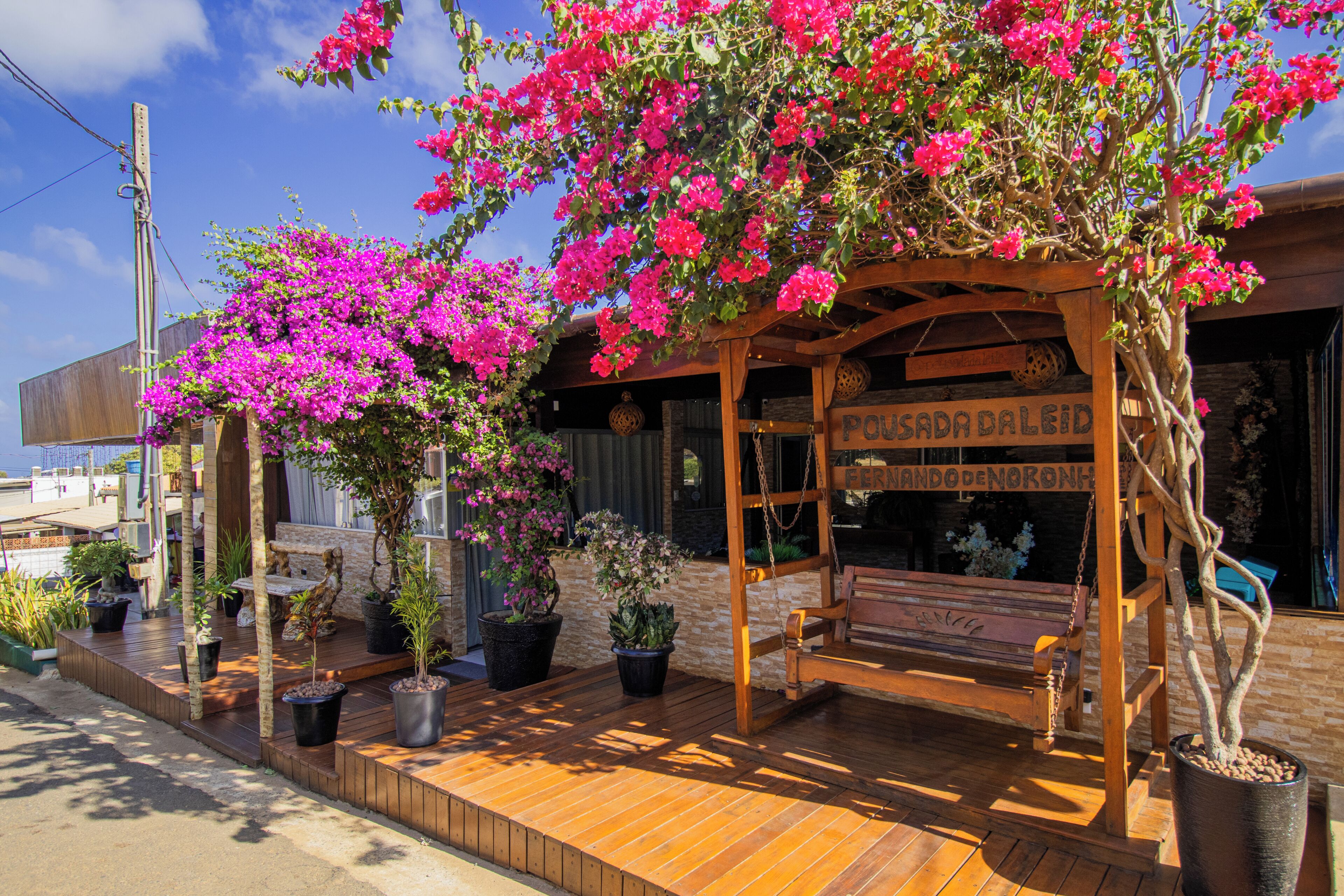 Una pérgola de madera con un banco, rodeada de plantas en macetas y un letrero que dice 'Pavada Daleid'.
