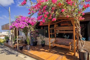 Una pérgola de madera con un banco, rodeada de plantas en macetas y un letrero que dice 'Pavada Daleid'.