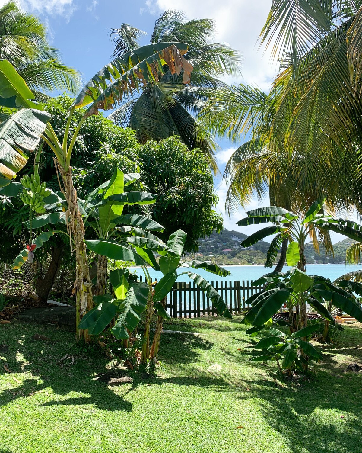 Hideaway Apartments Grenada Reviews, Deals & Photos 2023 Expedia