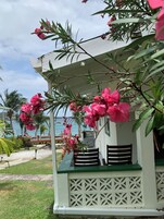 Un espacio al aire libre cubierto con asientos y vistas al mar, rodeado de abundante vegetación y flores rosadas.