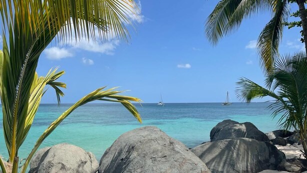 A beach with large rocks, palm trees, and clear blue water. - Hideaway Apartments Grenada (St. George's)