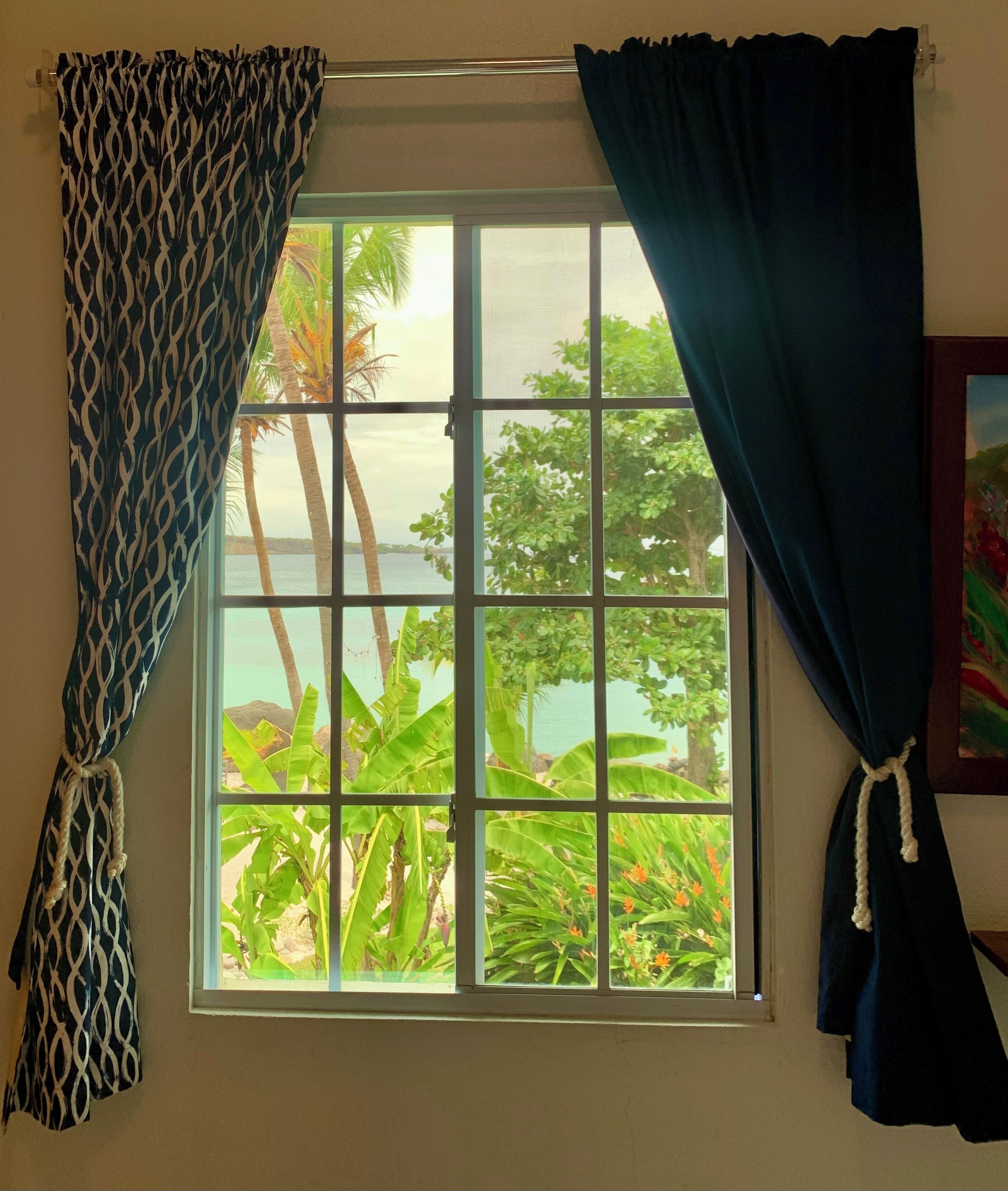 A window with a view of a tropical landscape, including palm trees and a body of water.