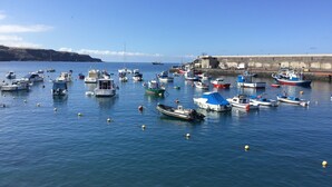 Un port où de nombreux bateaux sont amarrés, avec une eau calme et une côte visible au loin.