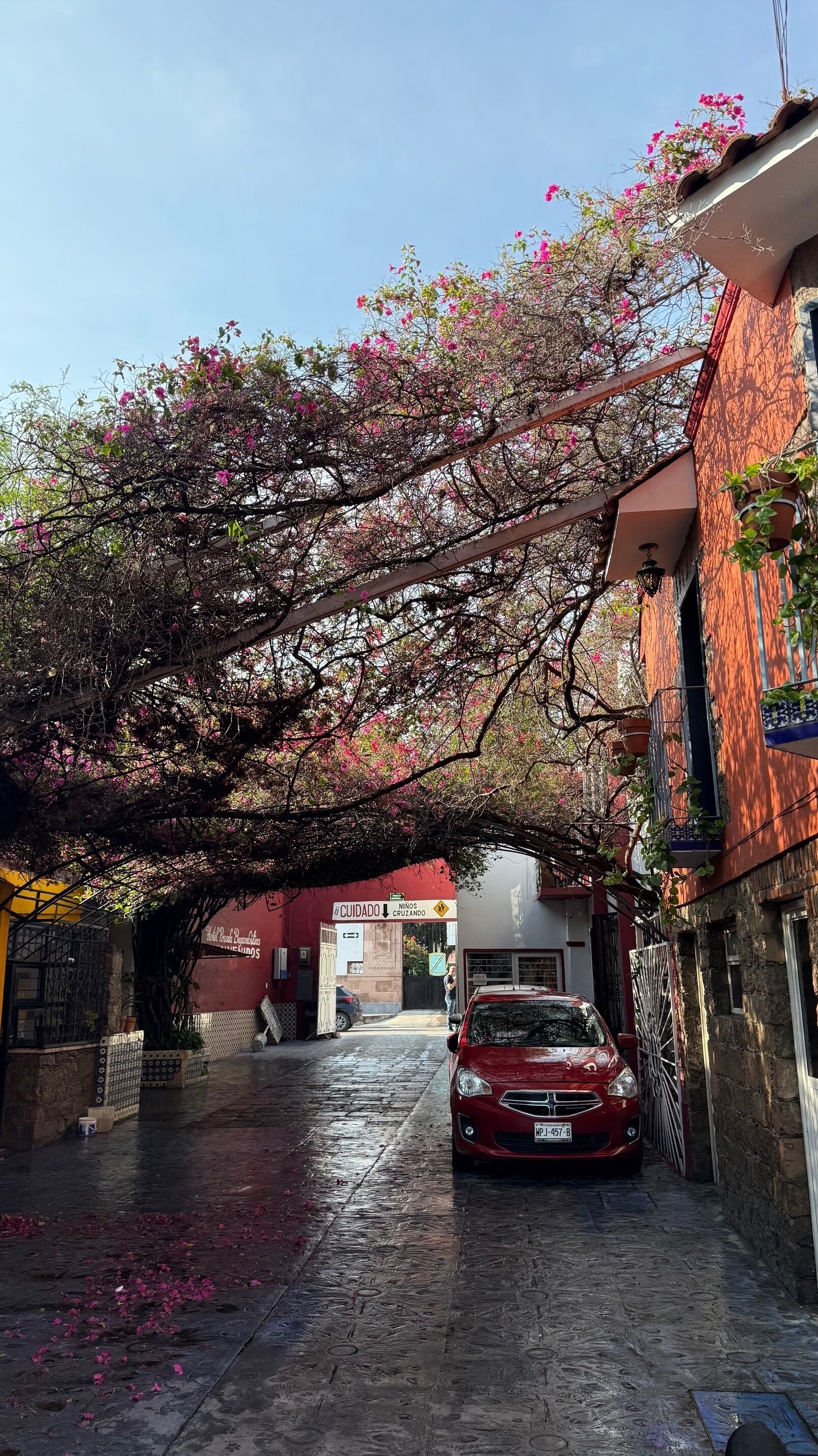 Photo - Hotel Posada Bugambilias