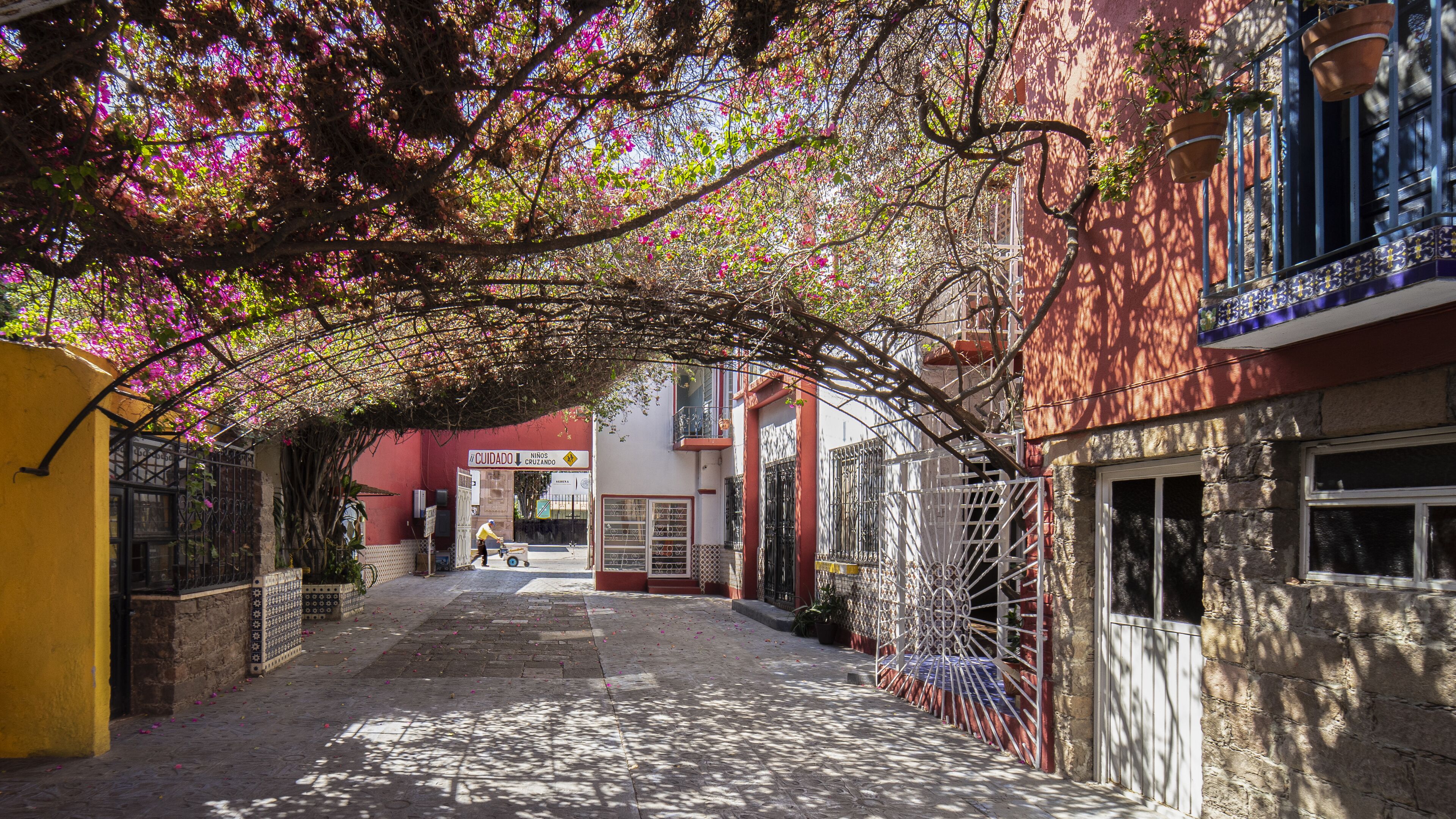 Photo - Hotel Posada Bugambilias