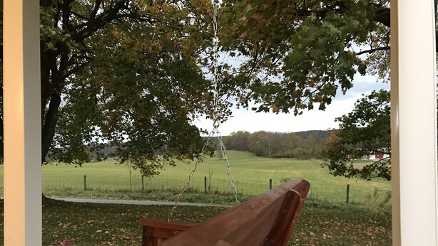 A wooden bench with a metal swing hanging from a tree, a small pumpkin, and a grassy field in the background. - Twin Maple Cottage, a country cottage get away near Blacksburg - 3BR 1Bath (Dublin)