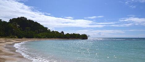 Accommodatie ligt op het strand, ligstoelen