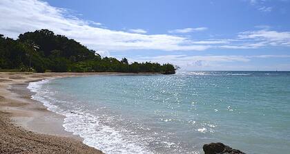 Appartement T2 vue mer