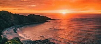 NEW LISTING! 2/2 Home Located in Jungle with Pool