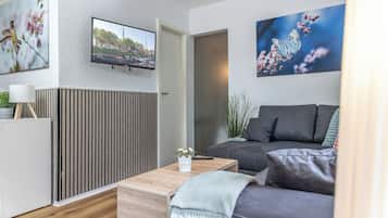 Televisor, reproductor de DVD i estèreo