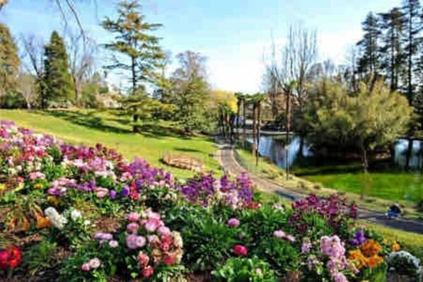 Áreas de la propiedad