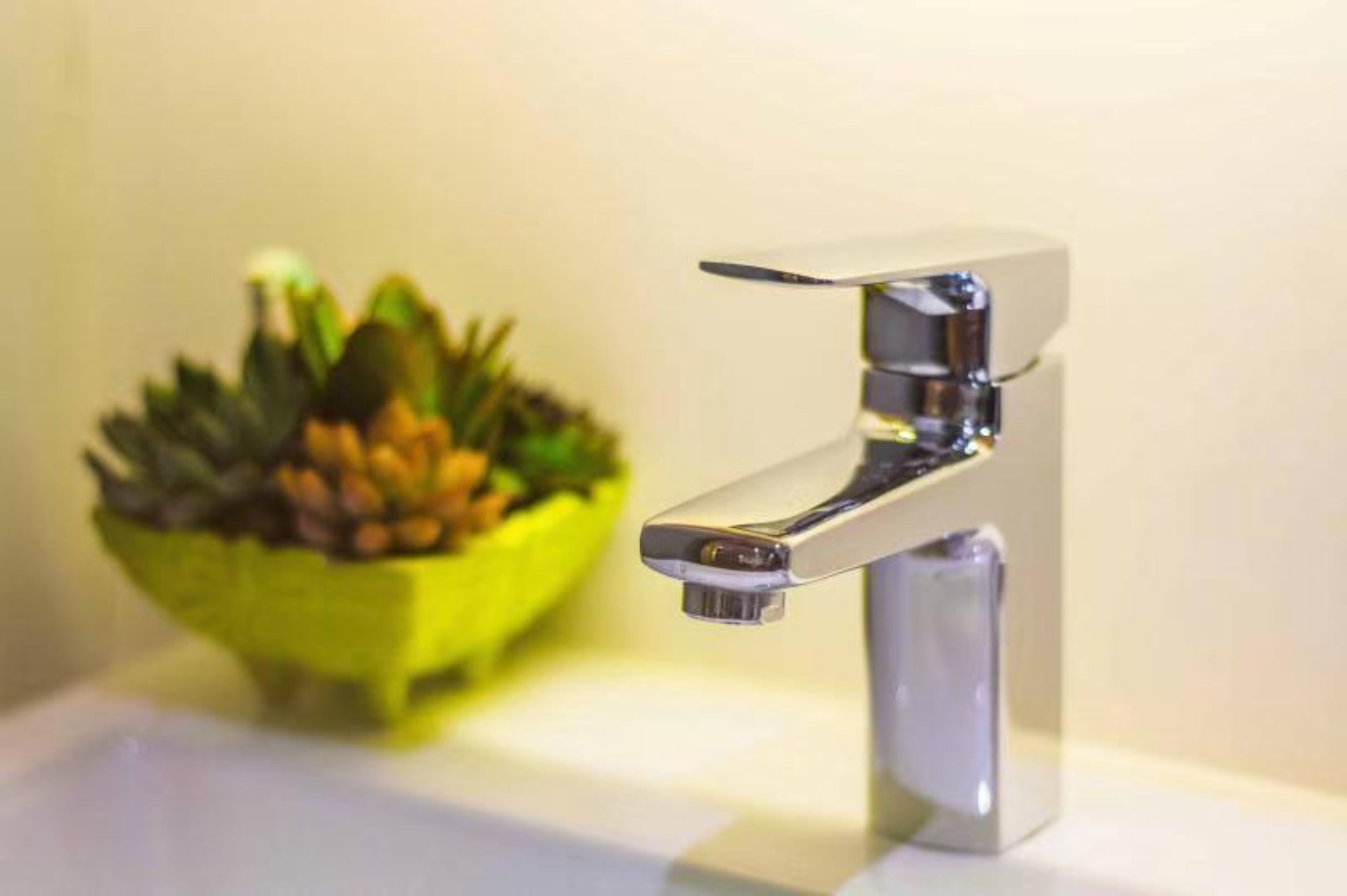 Un baño moderno con un grifo cromado y un cuenco decorativo verde con plantas.