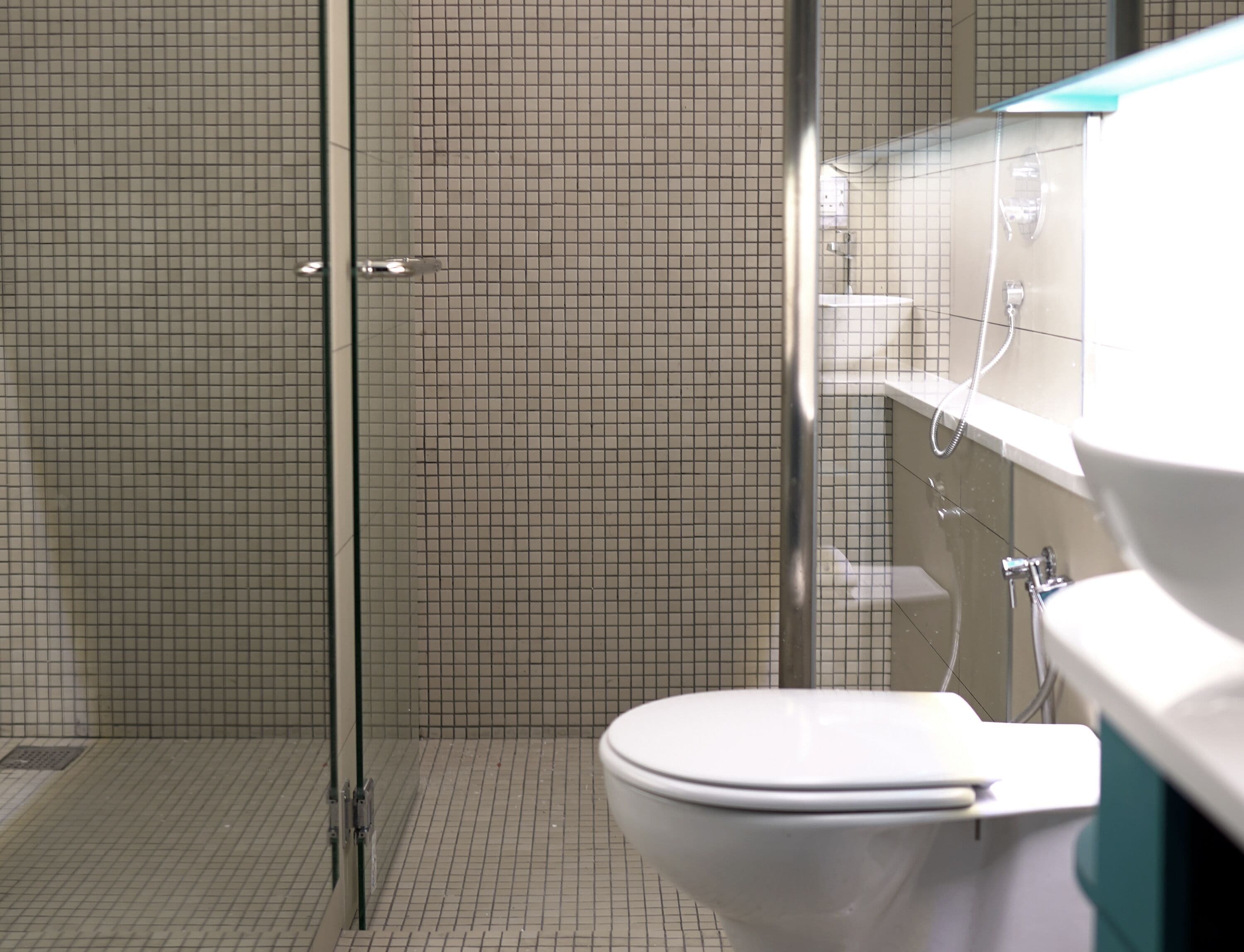 Shower, hair dryer, slippers, bidet