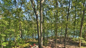 Un terrain de camping boisé, avec un sentier de terre, un foyer et un lac en arrière-plan.