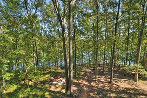 Escape to a serene forested area with a tranquil path leading to a peaceful body of water.