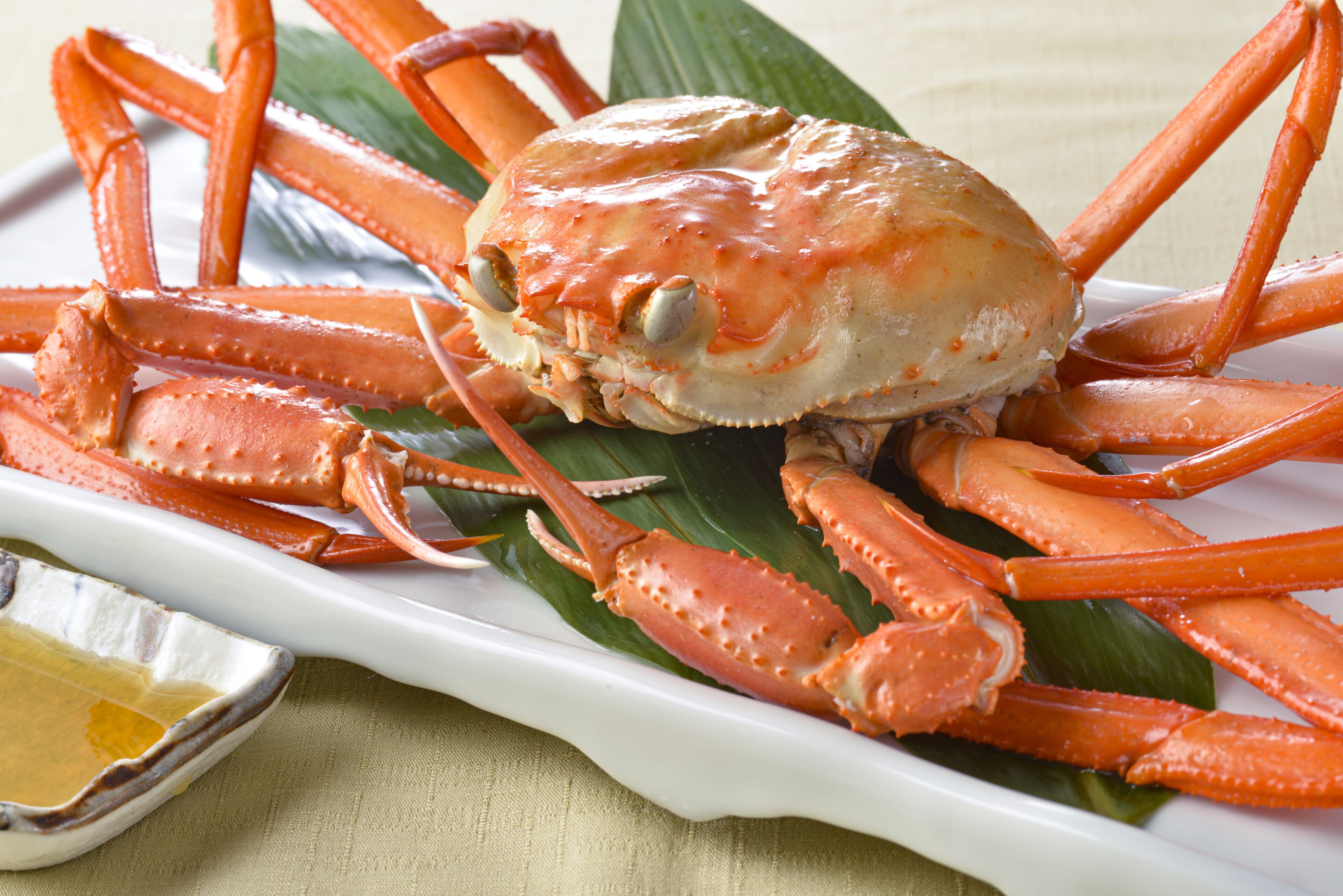 Makanan dan minuman