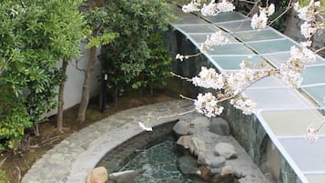 Aguas termales
