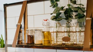 A kitchen counter with various jars and bottles, some containing spices and oils, and a hanging plant. - Nature Domes (Toms Creek)