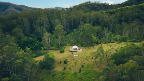 A dome-shaped building surrounded by dense forest on a hillside. - Nature Domes (Toms Creek)
