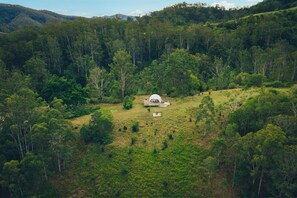 Hiking - Nature Domes (Toms Creek)