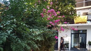 Un chemin menant à un bâtiment à l’architecture moderne, entouré d’une végétation luxuriante et de plantes en fleurs.