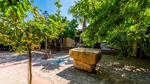 Un pati amb una jardiniera de pedra, plantes en testos i un fanal.
