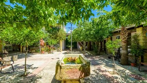 Un pati amb una font, bancs de pedra i plantes en testos.