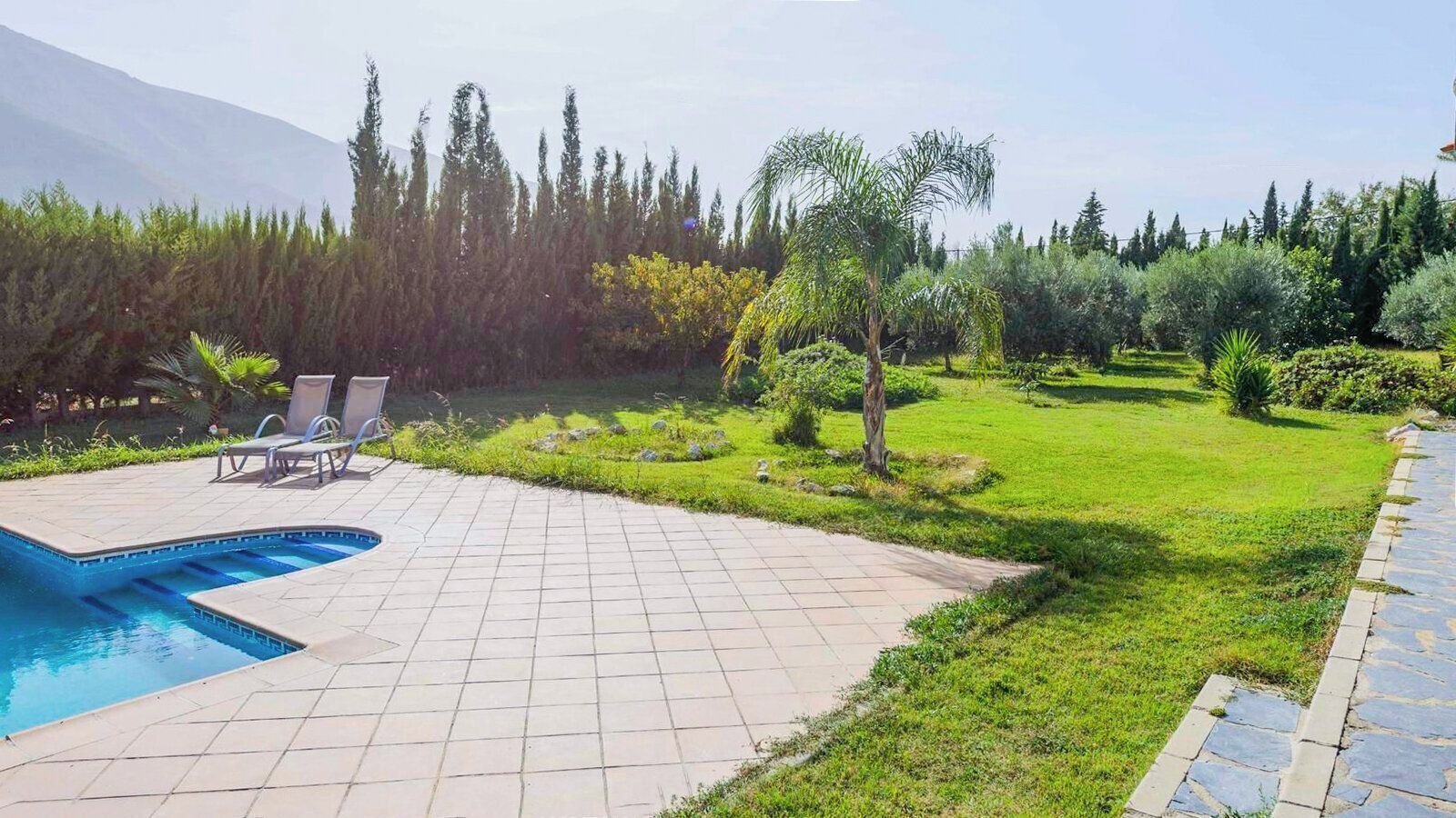 Une piscine avec un revêtement de carrelage, une zone herbeuse et une variété d’arbres et d’arbustes.