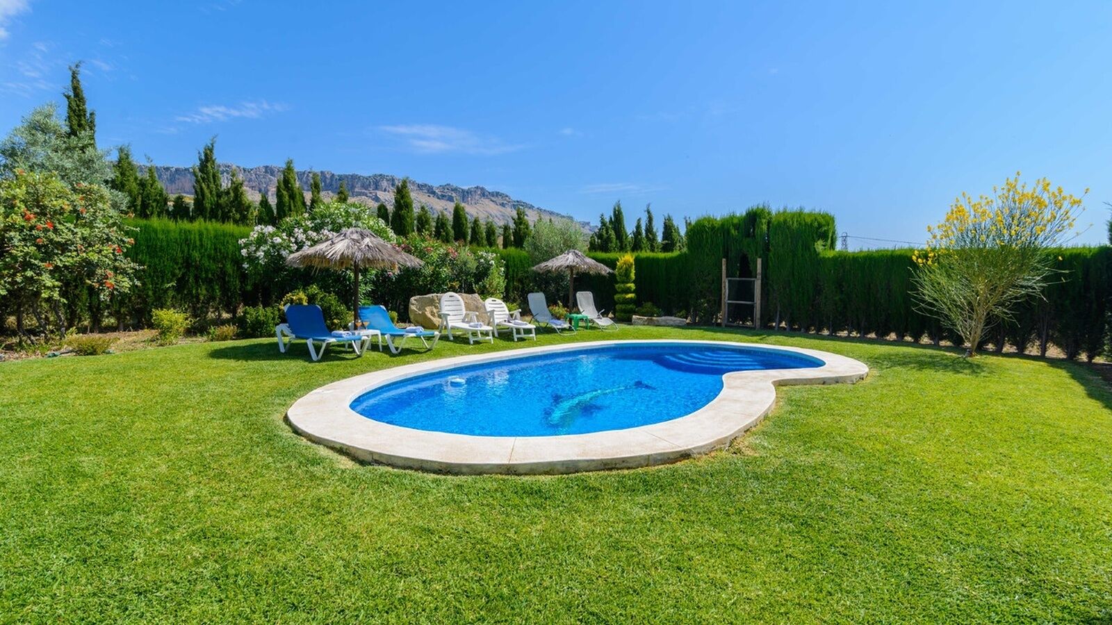 Una piscina de borde curvo, rodeada por un césped cuidado y varias sillas de descanso.