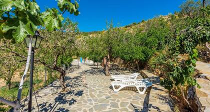 Reul Alto - La Curiosa Laroya by Ruralidays