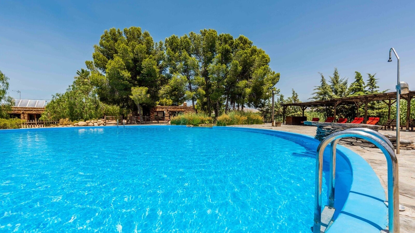 A clear blue swimming pool with a metal ladder, surrounded by trees and a wooden deck with red chairs.
