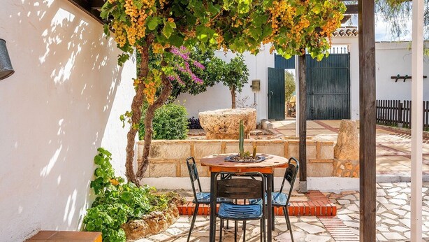 Une terrasse extérieure avec une table ronde et des chaises, entourée de verdure et agrémentée d’un cactus en guise de décoration centrale.