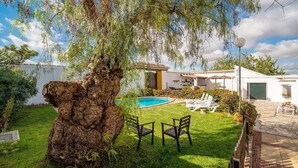 Un jardin avec une piscine, un grand arbre et du mobilier d’extérieur.