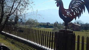 A rooster statue in a park with a wooden fence, trees, and a distant mountain range. - Agriturismo Girardelli (Riva del Garda)