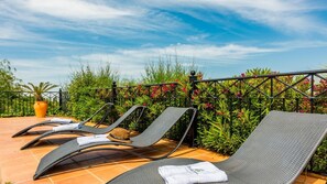 Terras