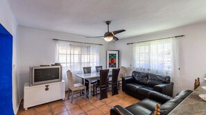 TV, fireplace, DVD player