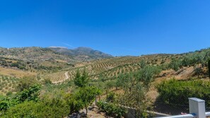 Nicht klassifiziertes Bild, 5 von 28, Schaltfläche