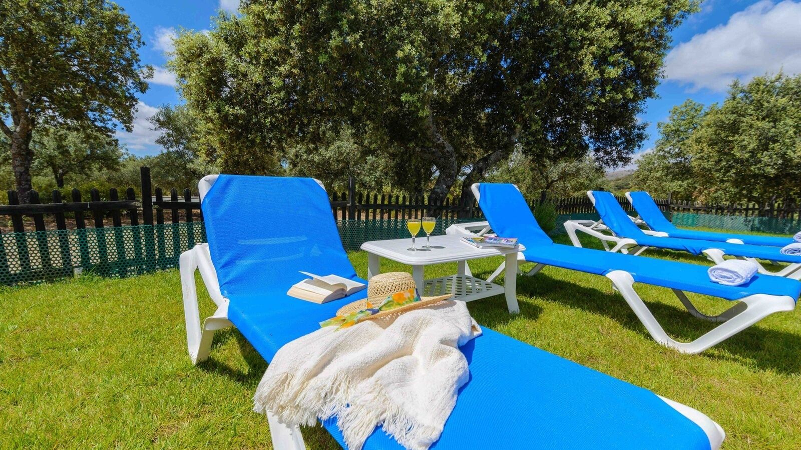 Parco della struttura