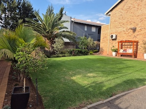 A well-maintained lawn with a wooden bench and a potted plant.