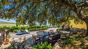 Un patio exterior con una mesa y sillas, rodeado de plantas en macetas y vistas al campo.