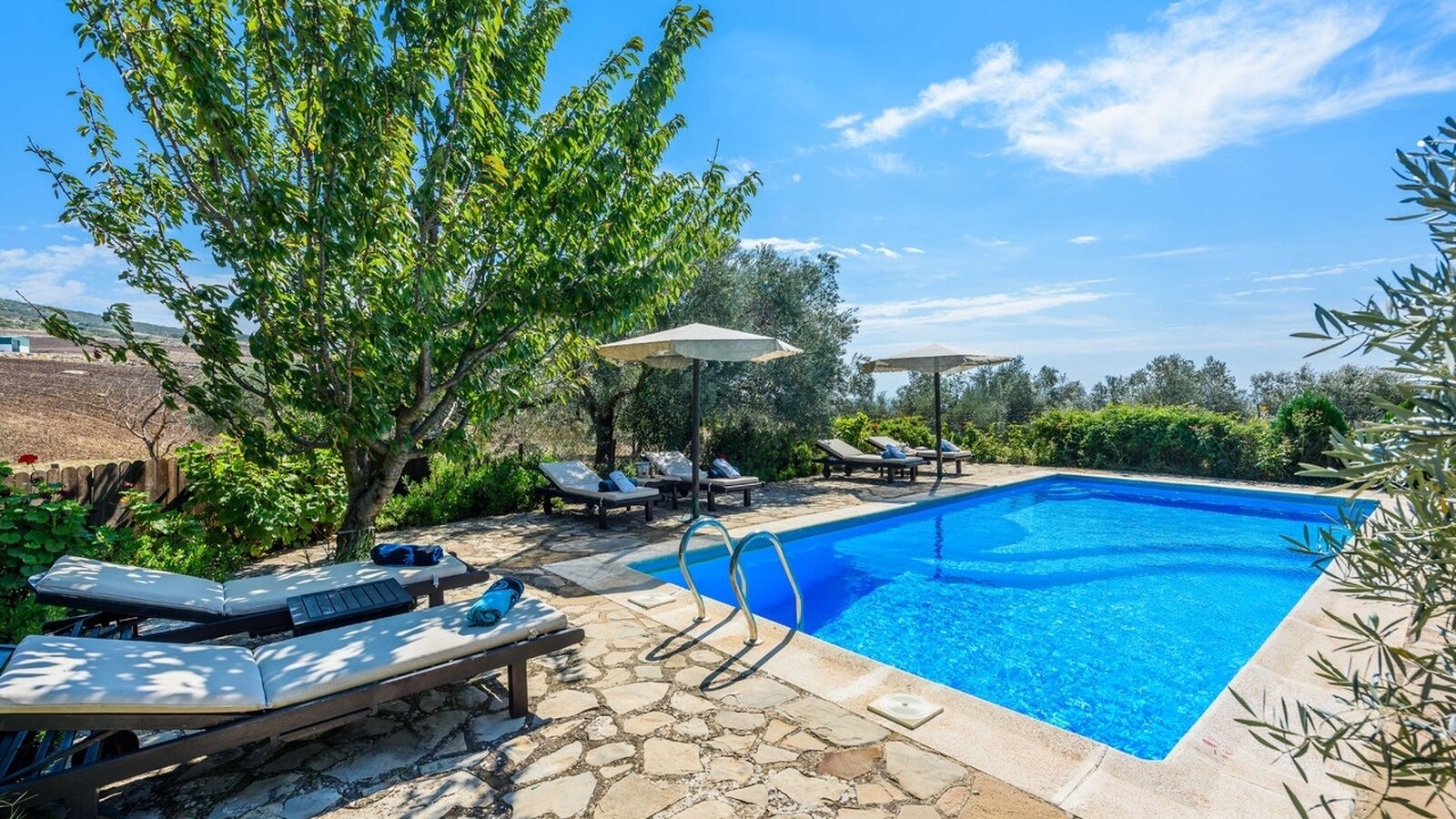 A rectangular swimming pool with a stone deck, surrounded by lounge chairs and umbrellas.