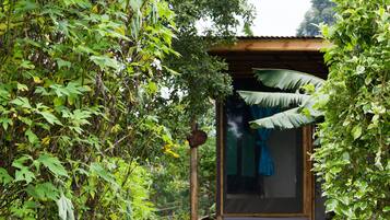 Comfort Double Room (Blue Flycatcher) | Garden view