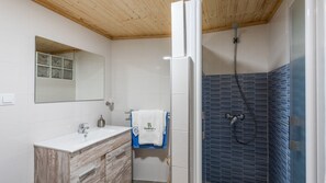 Shower, hair dryer