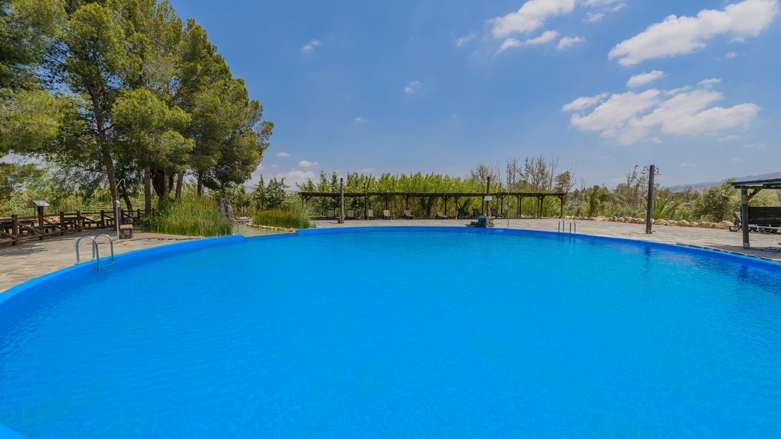 Une piscine d’un bleu éclatant, dotée d’une terrasse en bois et de chaises longues, entourée d’arbres et surplombée d’un ciel dégagé.