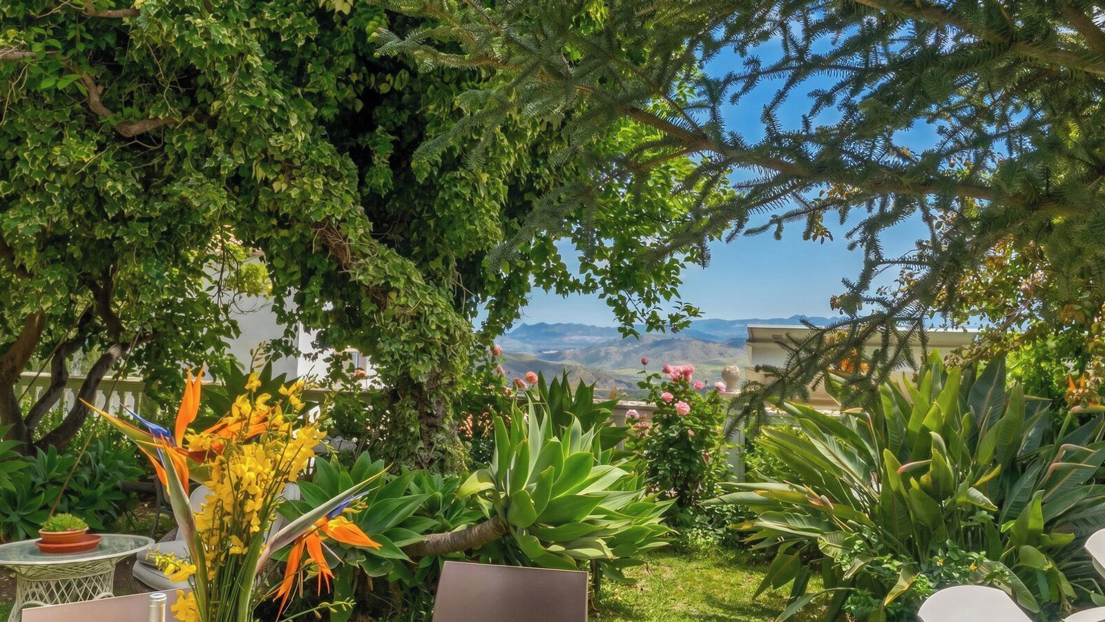 Un jardin luxuriant, avec une grande variété de plantes et de fleurs, une table et des chaises.