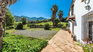 A courtyard with a gravel path leading to a building, surrounded by greenery and palm trees. - Casa del Tigre Gaucín by Ruralidays (Málaga)
