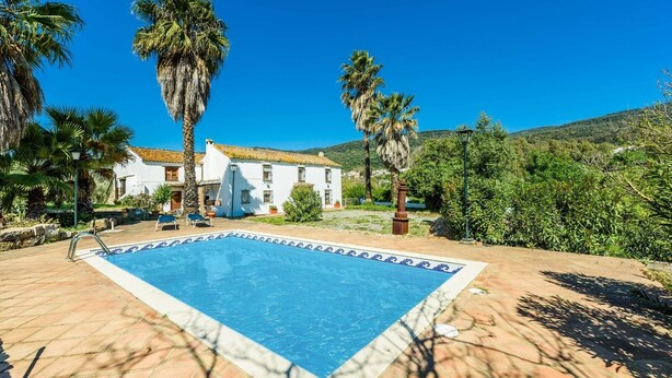 A swimming pool with a tiled border, surrounded by palm trees and a white building with a tiled roof. - Casa del Tigre Gaucín by Ruralidays (Málaga)