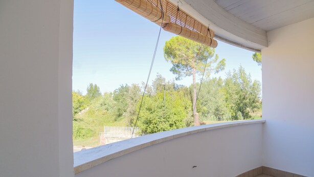 Ein Balkon mit Blick auf Bäume und eine weiße Wand.