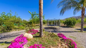 Un jardí amb palmeres, una glorieta i flors rosa vibrants.