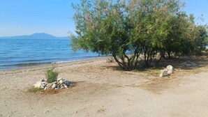 Una playa con costa rocosa, un pequeño montículo de piedras y un árbol.